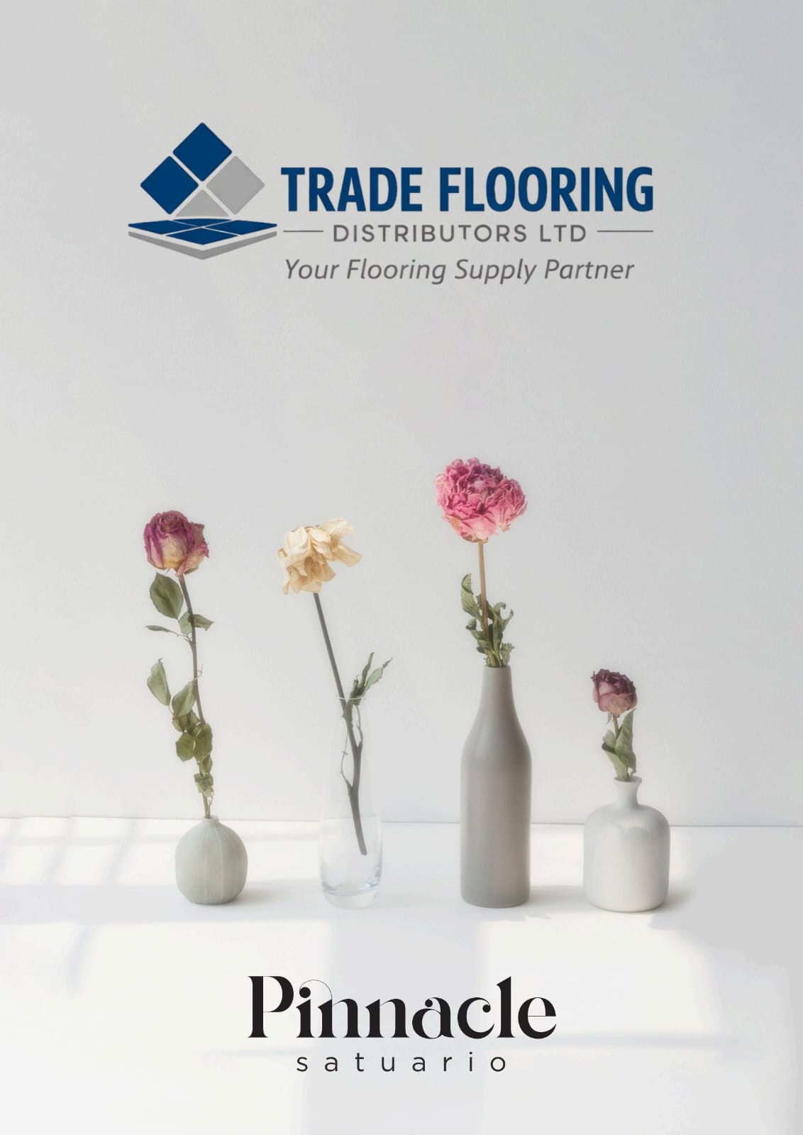 Image hover effect image