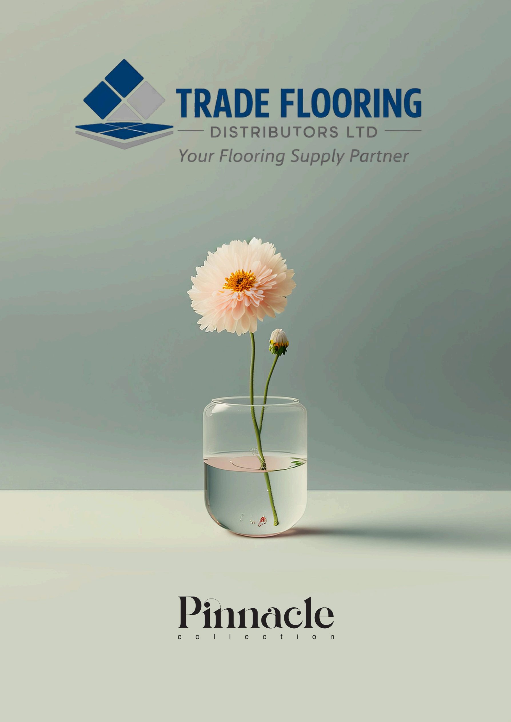 Image hover effect image